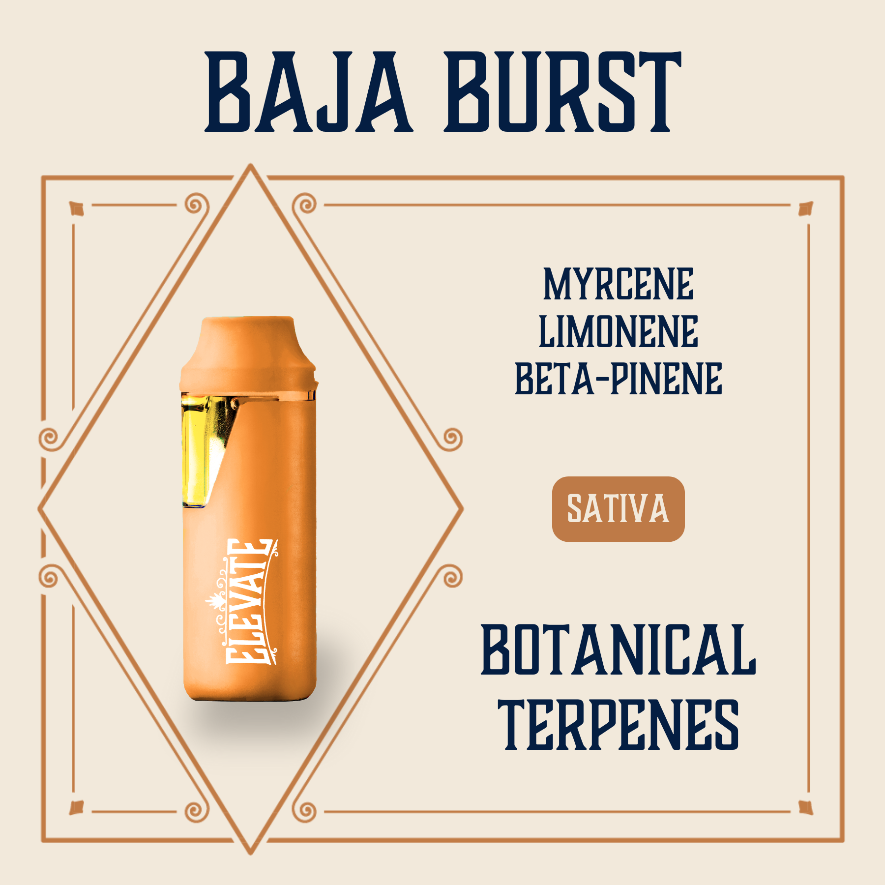 Photograph of product: Baja Burst Botanical Min-E-Bar Vape