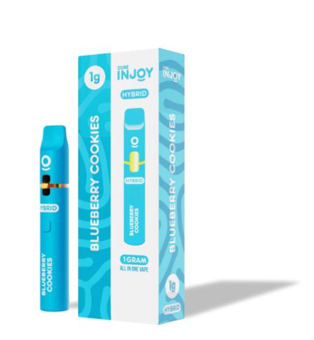 Photograph of product: Blueberry Cookies | Disposable
