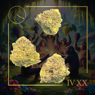 Photograph of product: Planet of the Grapes Flower - Four20 - 28g
