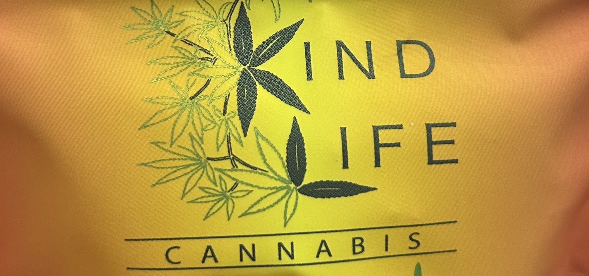 Photograph of product: Kind Life | 3.5g | Scented Marker #3