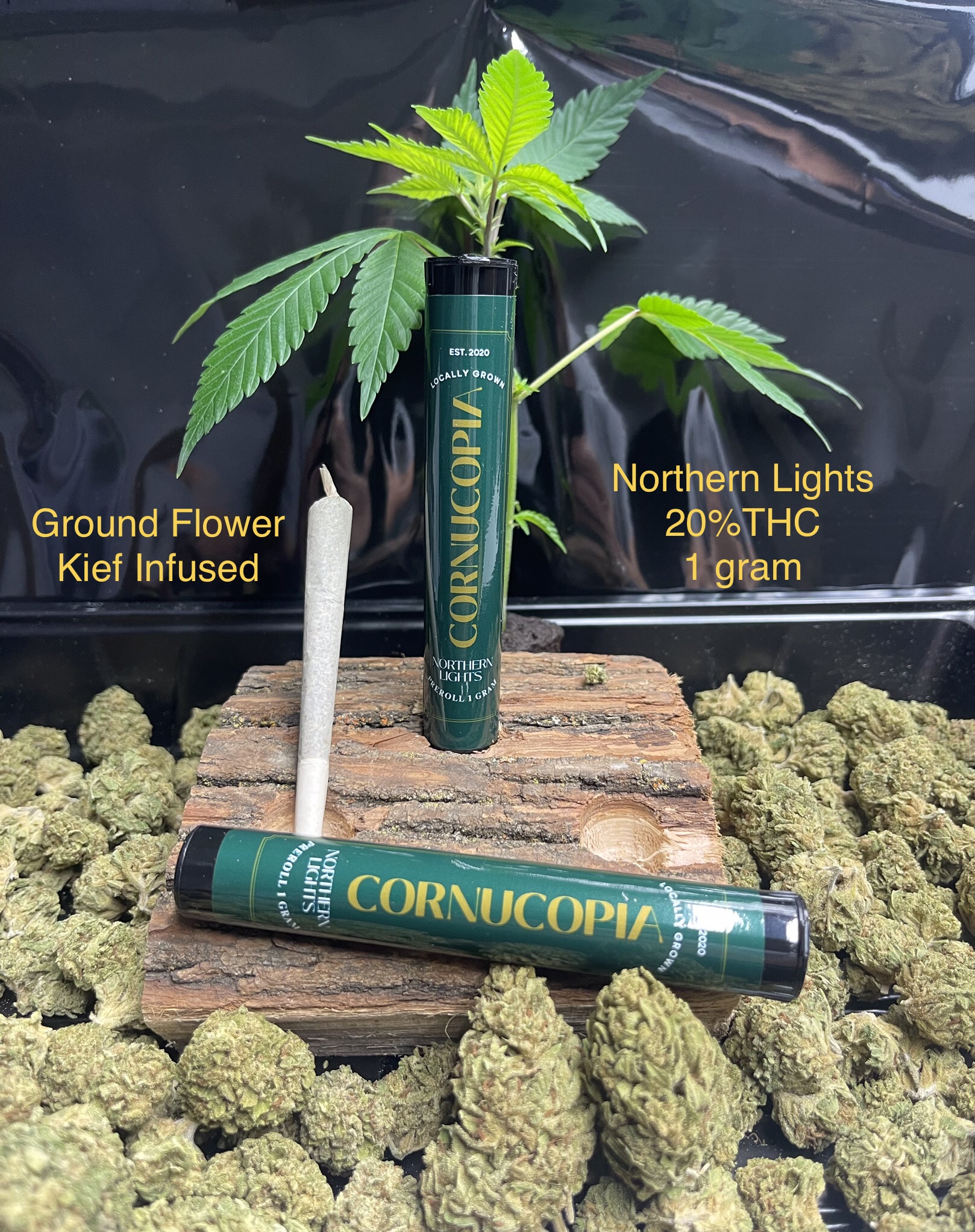 Photograph of product: Northern Lights | Infused  | Single