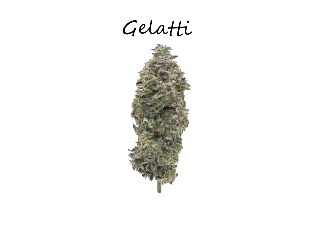 Photograph of product: Gelatti I Buds - 28g