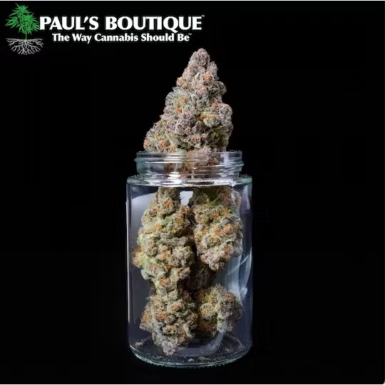 Photograph of product: Cryo Kush Blockberry - - AU Paul's Boutique - 3.5g