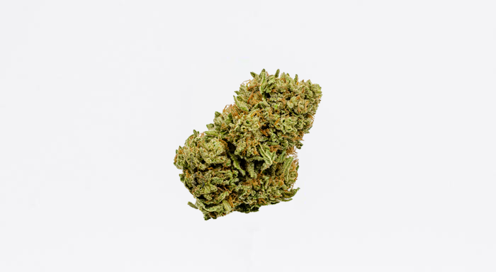 Photograph of product: Sour Lemon Kush 1:1 CBD (East Fork Cultivars) - 28g