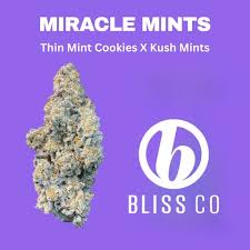 Photograph of product: Miracle Mints | Flower |  3.5G