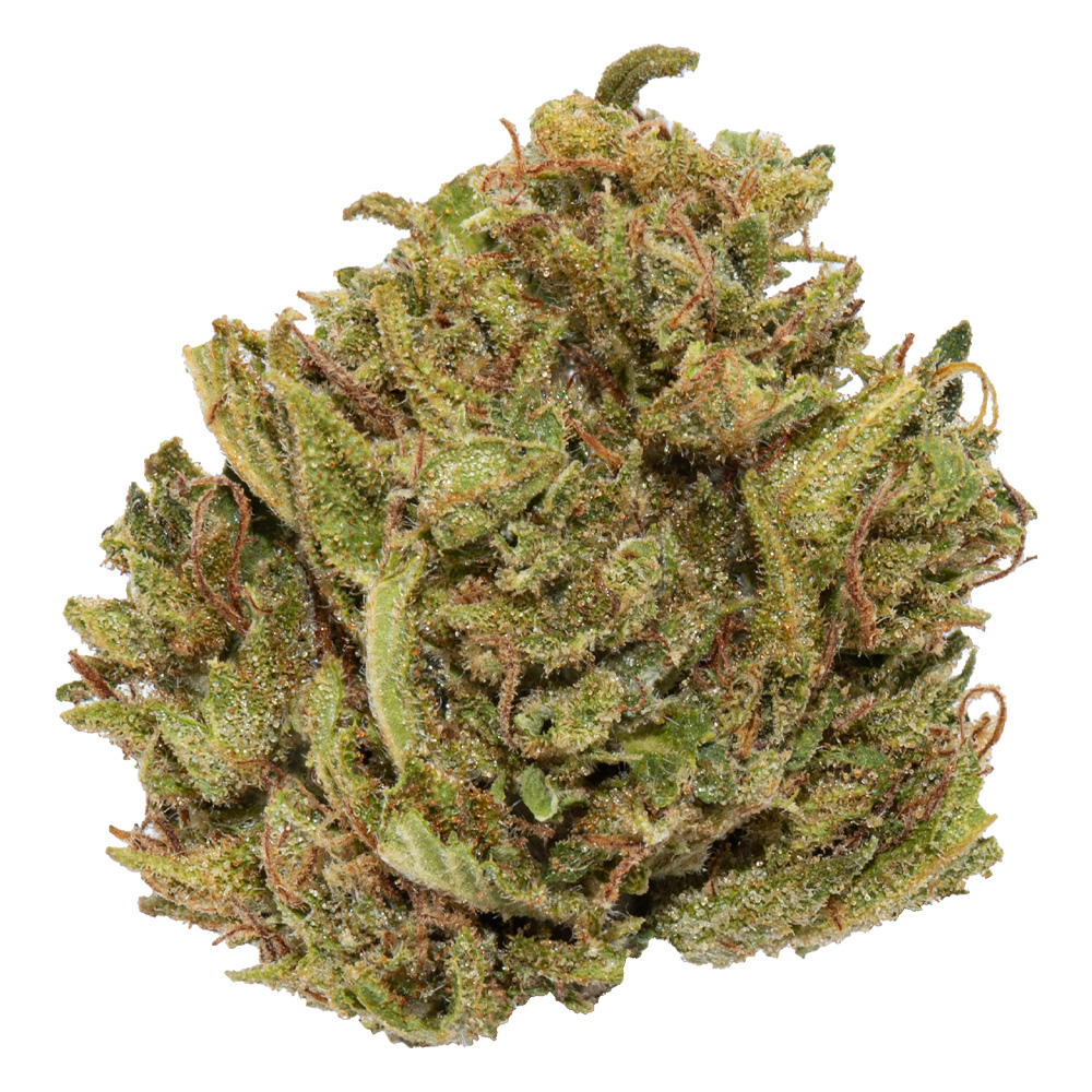 Photograph of product: Hybrid - Gram - Wesley's Wish - East Fork Cultivars - 1g