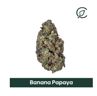 Photograph of product: Banana Papaya Whole Flower | T26.72% | 00977 | 3.5g