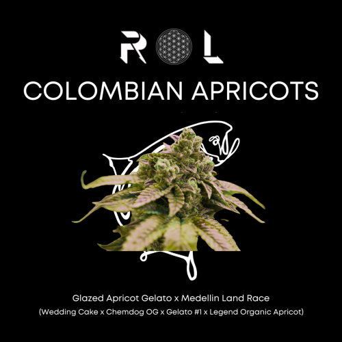 Photograph of product: 0.75g Trailblazer 5 Pack | Colombian Apricot