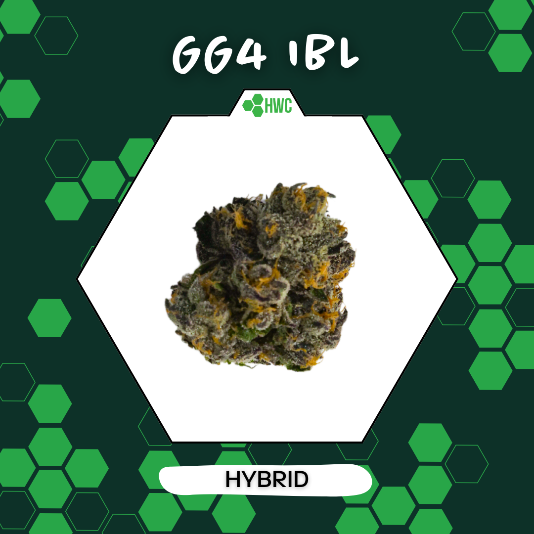 Photograph of product: GG4 IBL - 3.5g