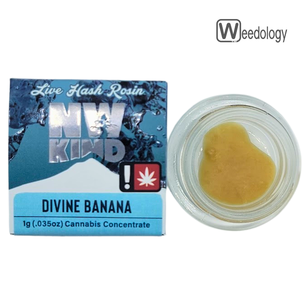 Photograph of product: NW KIND 1g DIVINE BANANA Live Rosin