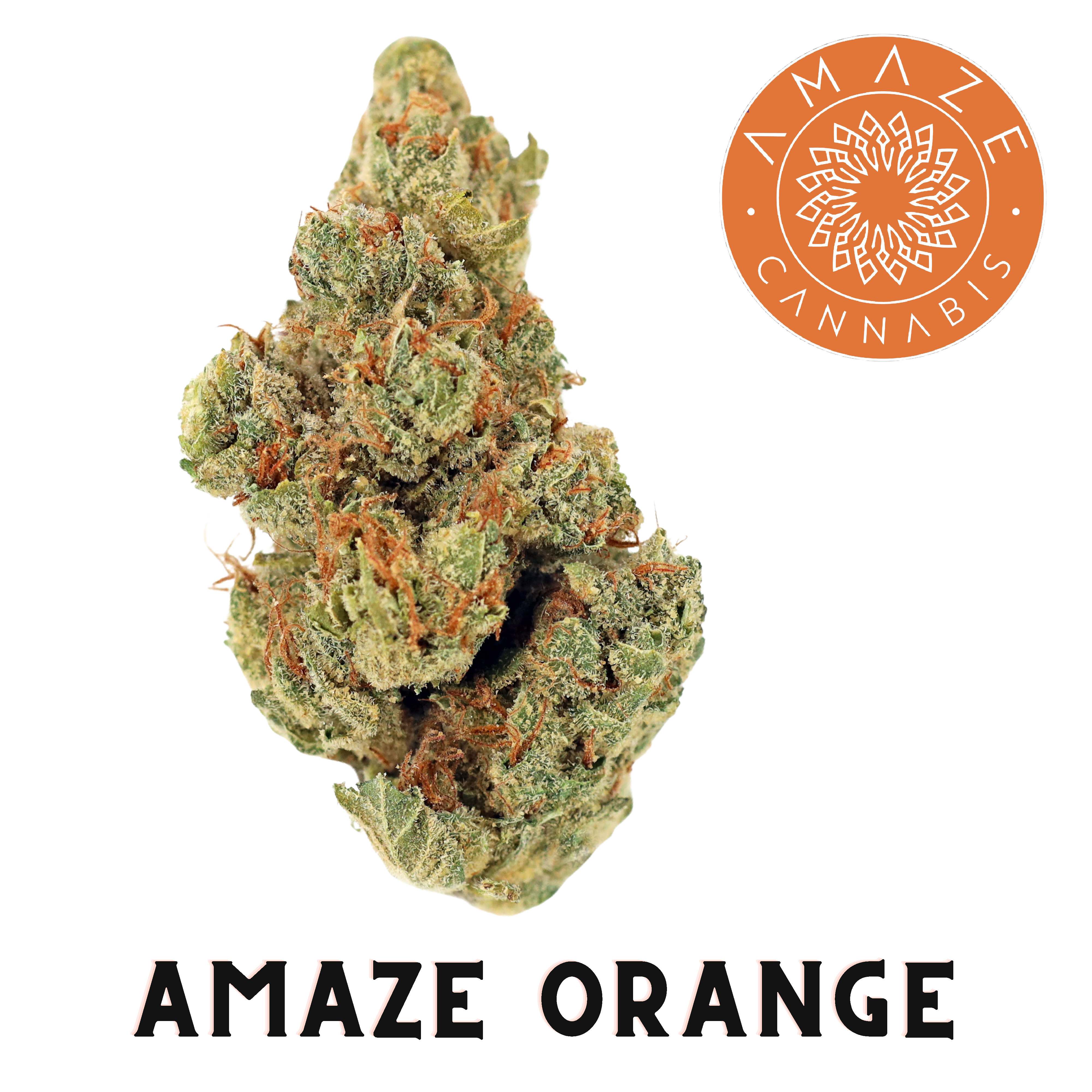 Photograph of product: Amaze Orange