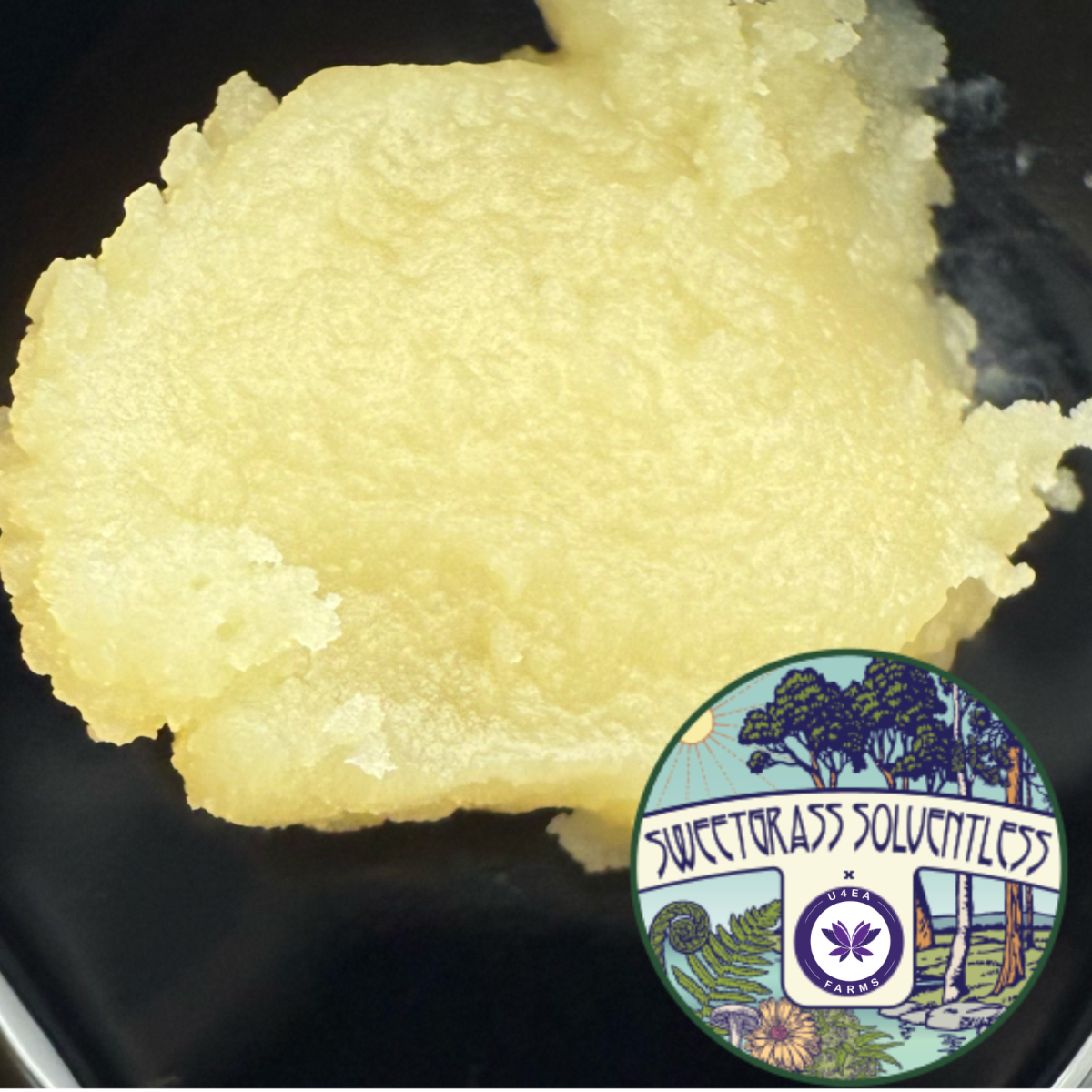 Photograph of product: U4ea Farms x Sweetgrass - Papaya Splash - Live Rosin - 1g