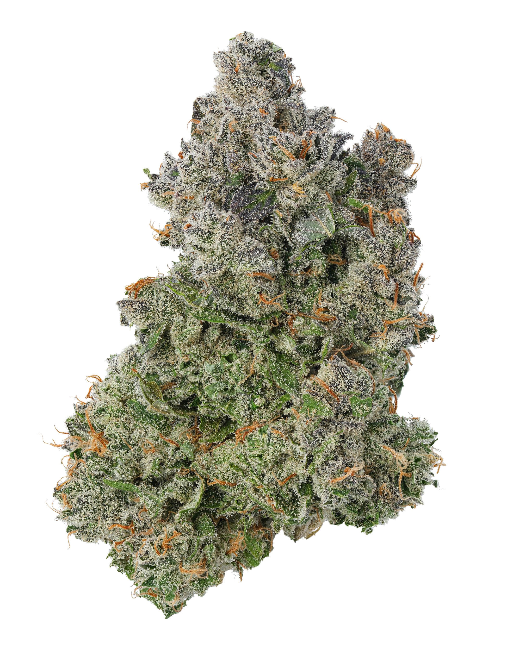 Photograph of product: Citradelic Sunset - 3.54g