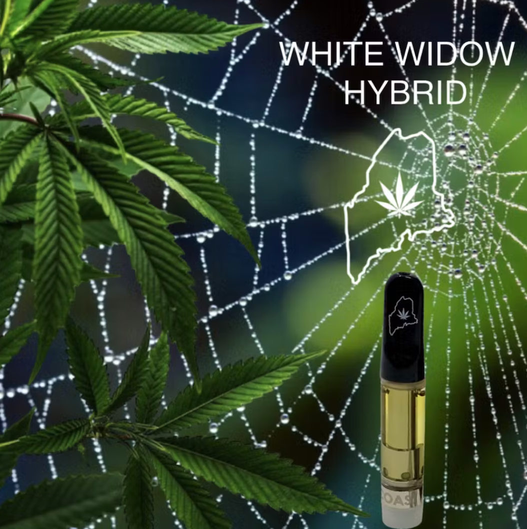 Photograph of product: High Coast White Widow Distillate Cart 1mL