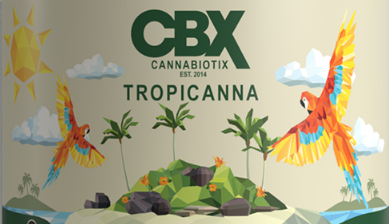 Photograph of product: CBX Tropicanna Pre-Rolls Tin