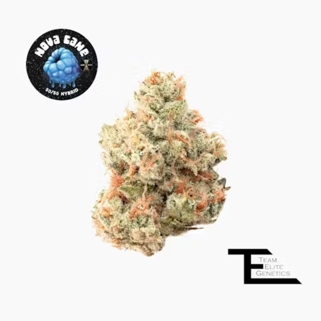 Photograph of product: Team Elite Genetics - Nova Cane (Hybrid) Premium Flower - 3.5g