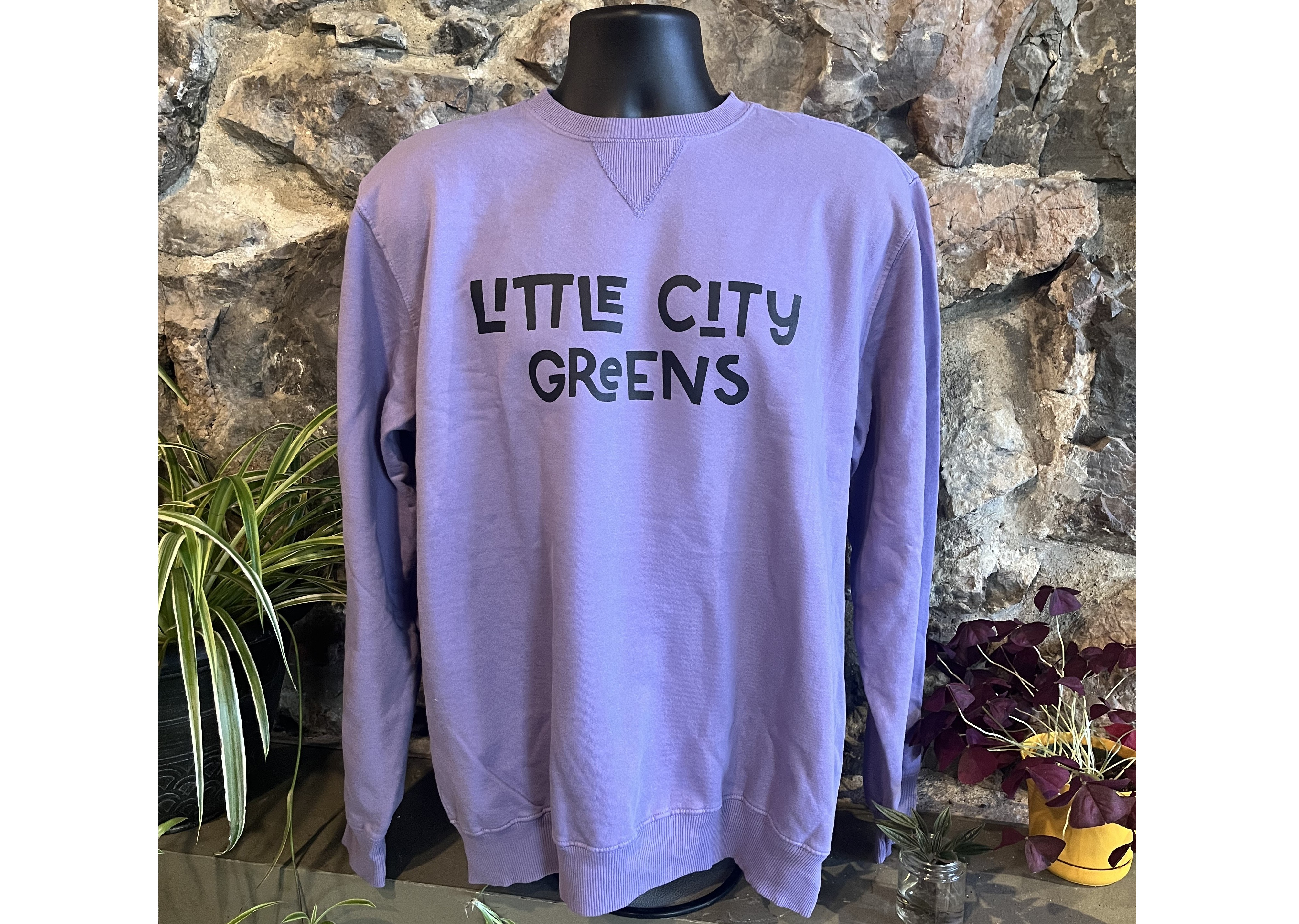 Photograph of product: Little City Greens Logo Crewneck Sweatshirt - Amethyst Purple
