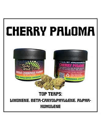 Photograph of product: Sticky's Oui'd Farm Cherry Paloma 24.51%TH-oui - 3.5g