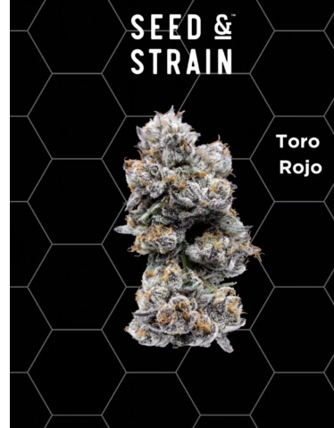 Photograph of product: Toro Rojo 14.15g