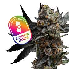 Photograph of product: Rainbow Mochi 3.5g-H