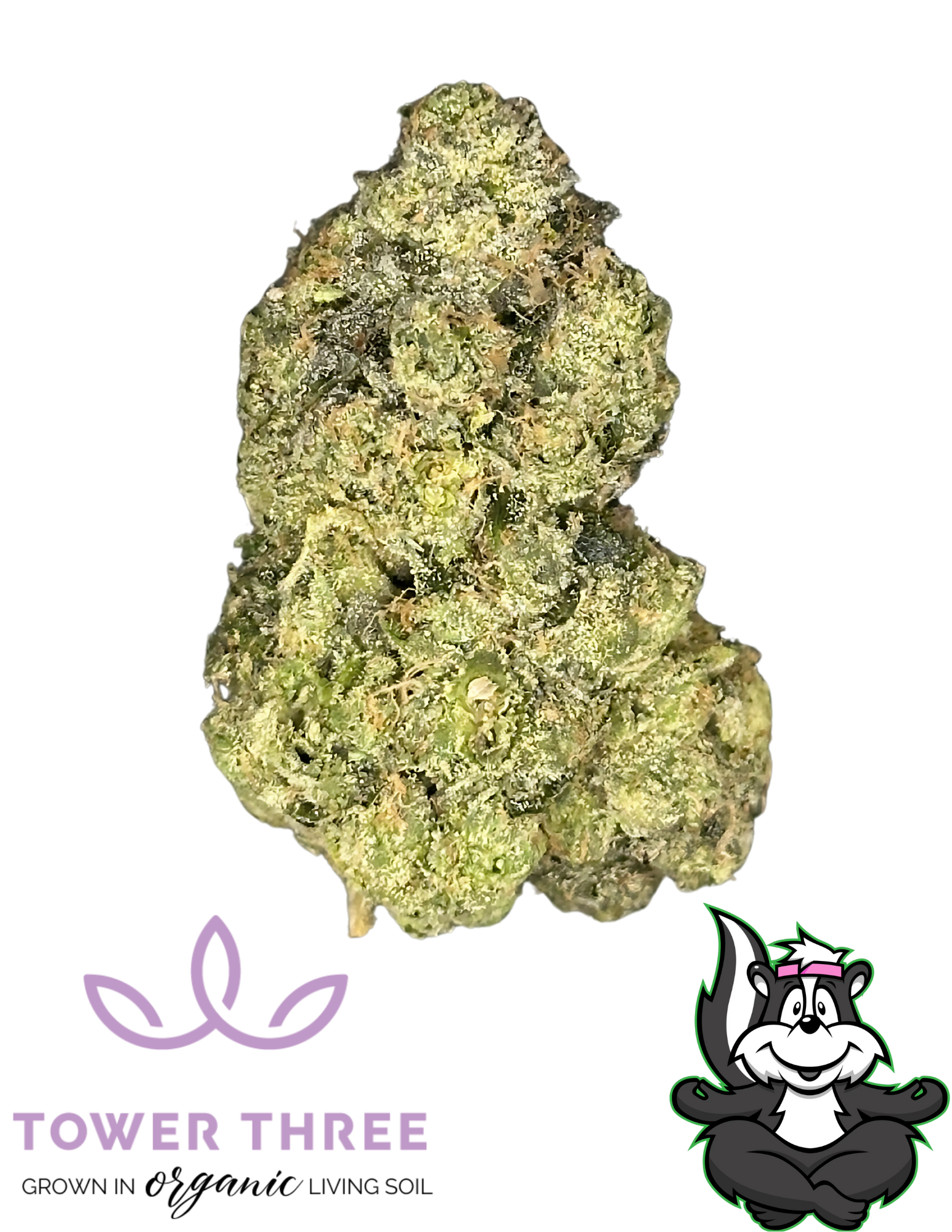 Photograph of product: Florida Freeze | 3.5g | Tower Three