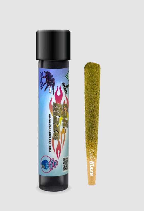 Photograph of product: Blue Muffin Tarantula Infused Single