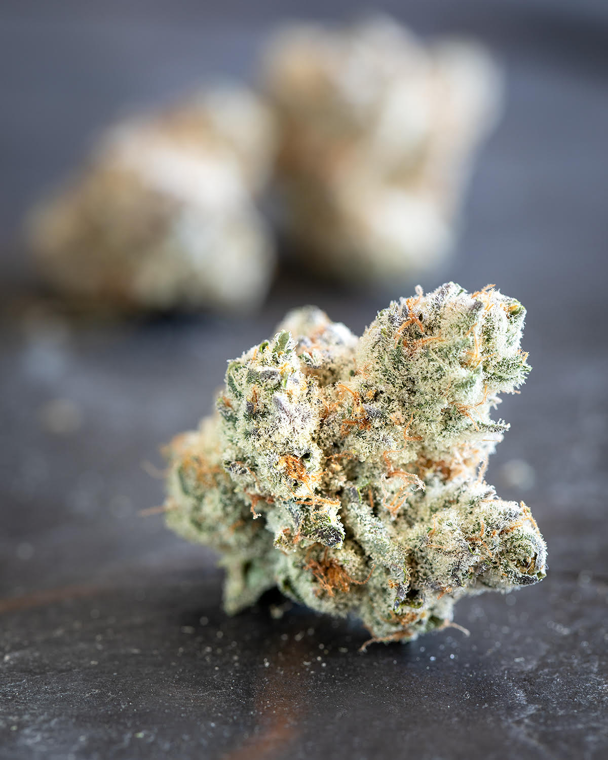 Photograph of product: Gorilla Sherb - 7g
