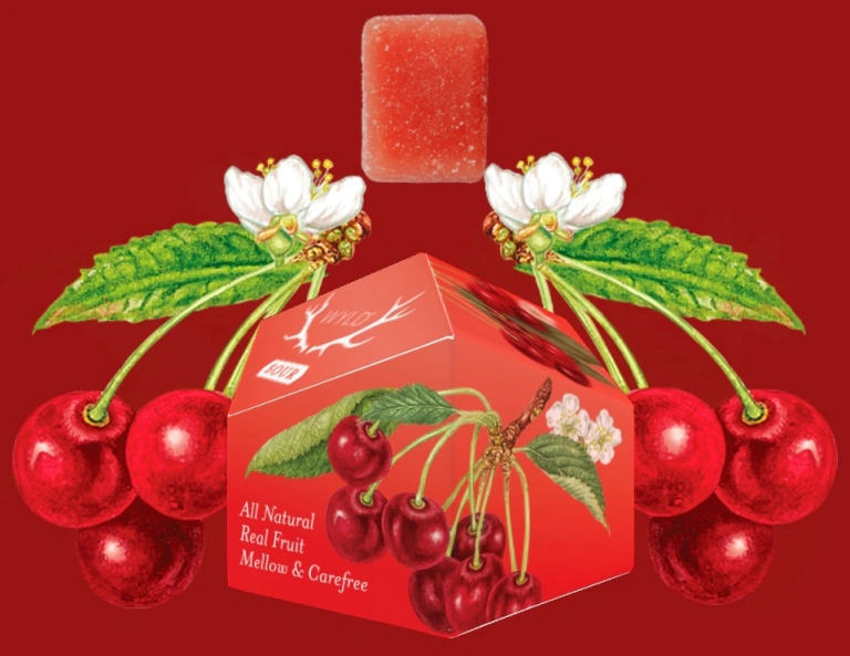 Photograph of product: Gummies 100mg 10 Pack - Sour Cherry