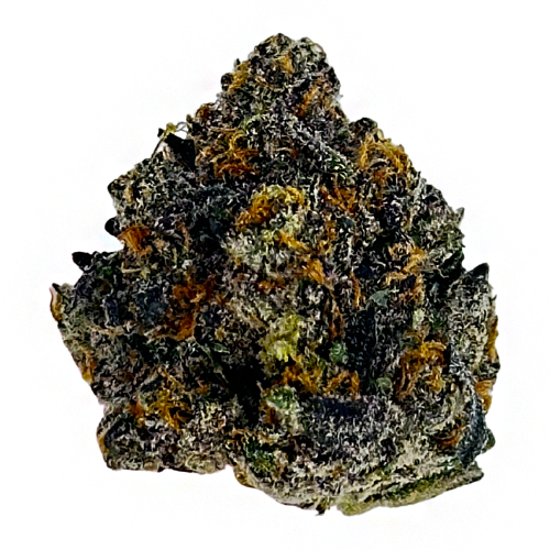 Photograph of product: High Life Farms RS11 x Falcon 9 Pre-Packed 3.5g