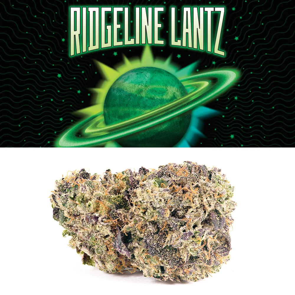 Photograph of product: Flower | Cookies | Ridgeline Lantz - 3.5g