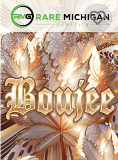 Photograph of product: Boujee | Rare Michigan Genetics | Pre-roll Multi-pack (10 x .5g)