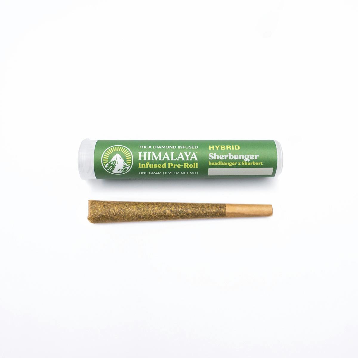 Photograph of product: Himalaya | Sherbanger | Infused Pre-Roll | 1g