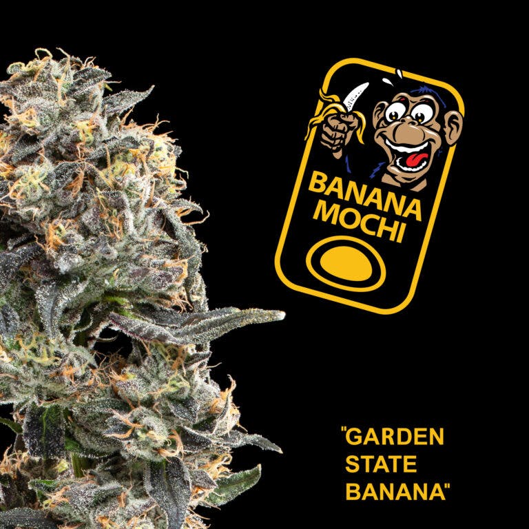 Photograph of product: BANANA MOCHI 3.5G FLOWER