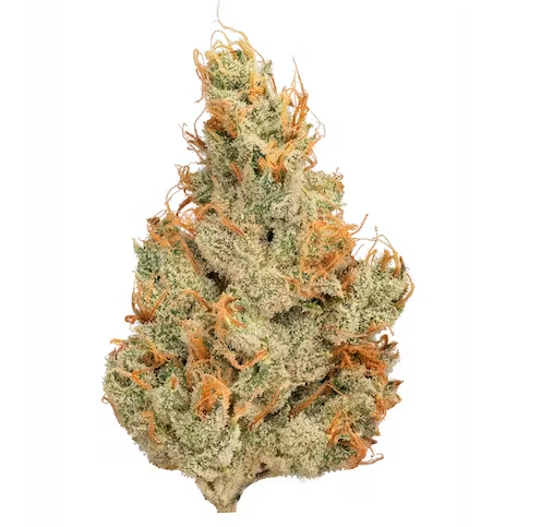 Photograph of Product: Grapefruit Haze - 3.5g