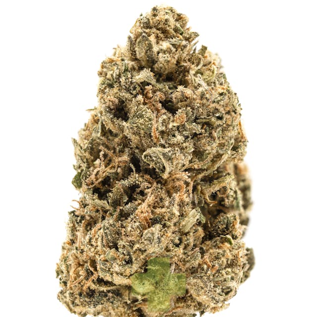 Photograph of product: Lemon Cherry Gelato, SG - Eighth