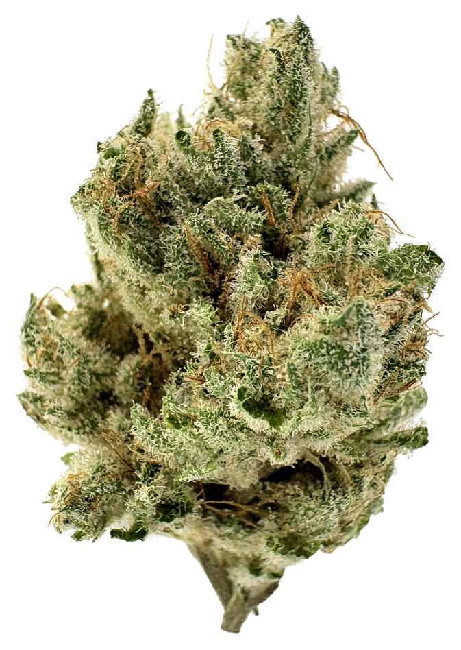 Photograph of product: Heirbloom By CBX | Banana OG | 3.5G
