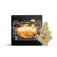 Photograph of product: Papaya | TAX INCLUDED - 28g