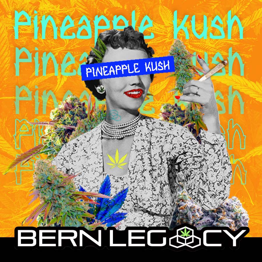 Photograph of product: Pineapple Kush Ounce - 28g
