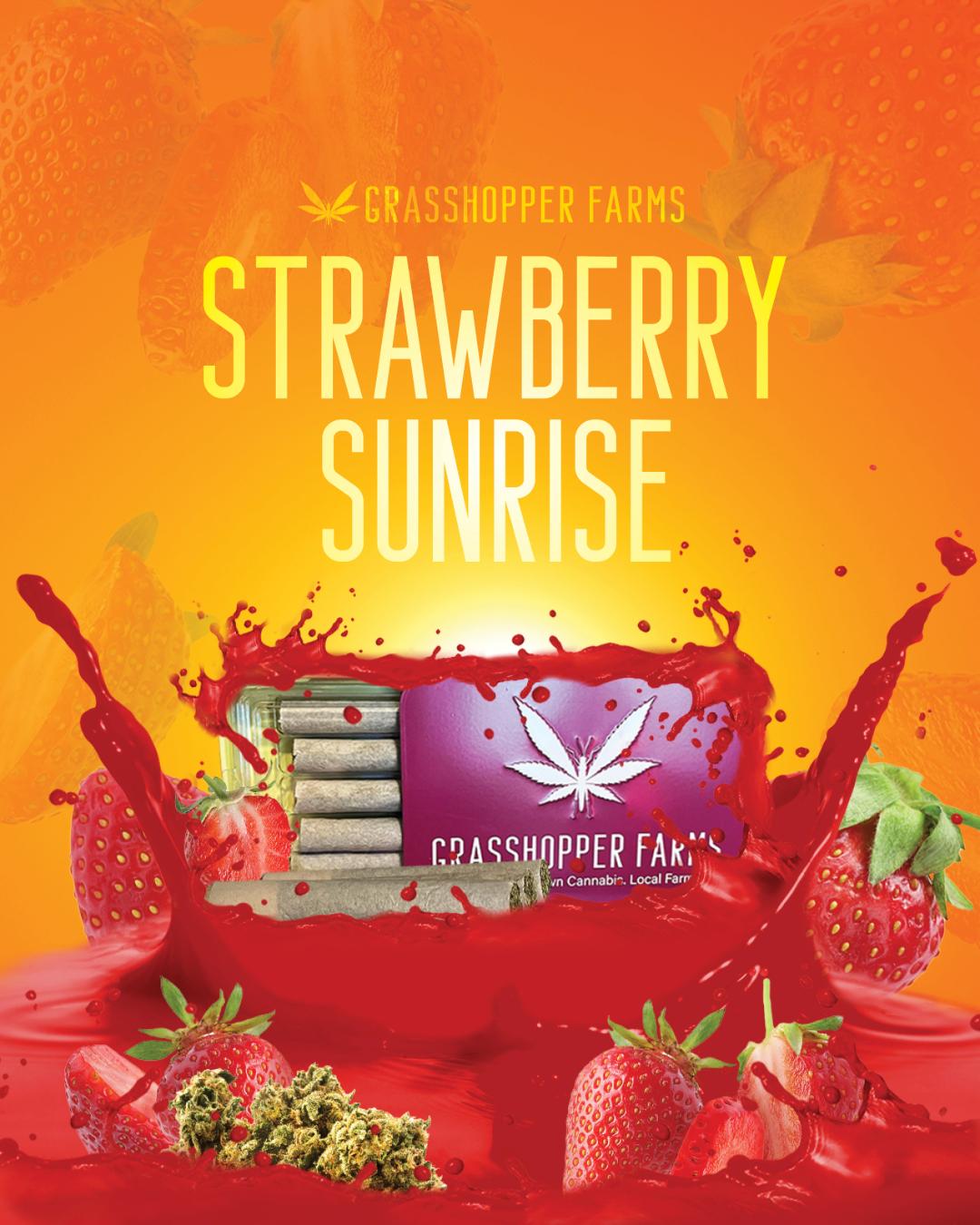 Photograph of product: Strawberry Sunrise - 5 pk Infused