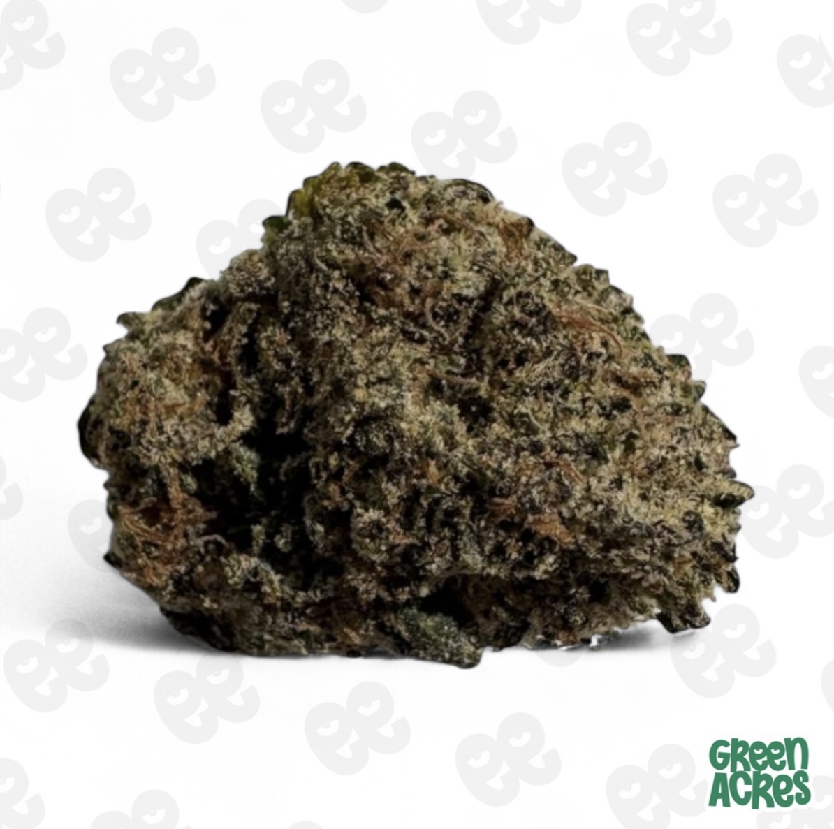 Photograph of product: (R) Gus Exotics: Zoot Roll Ups (H) - 28g