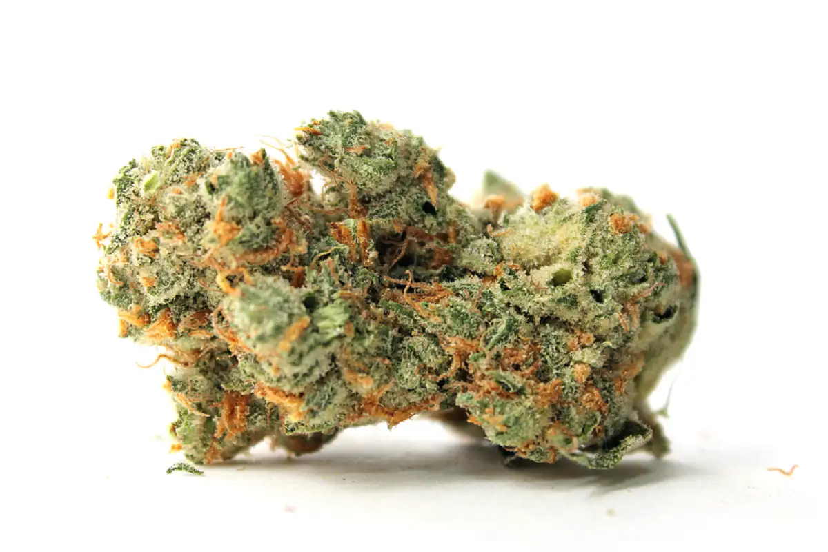 Photograph of product: MOLECULAR FARMS  TRAINWRECK  0.7 PRE-ROLLS