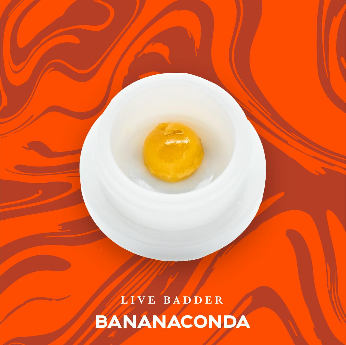 Photograph of product: VIVID - BADDER LIVE - 1G - BANANACONDA - HYBRID
