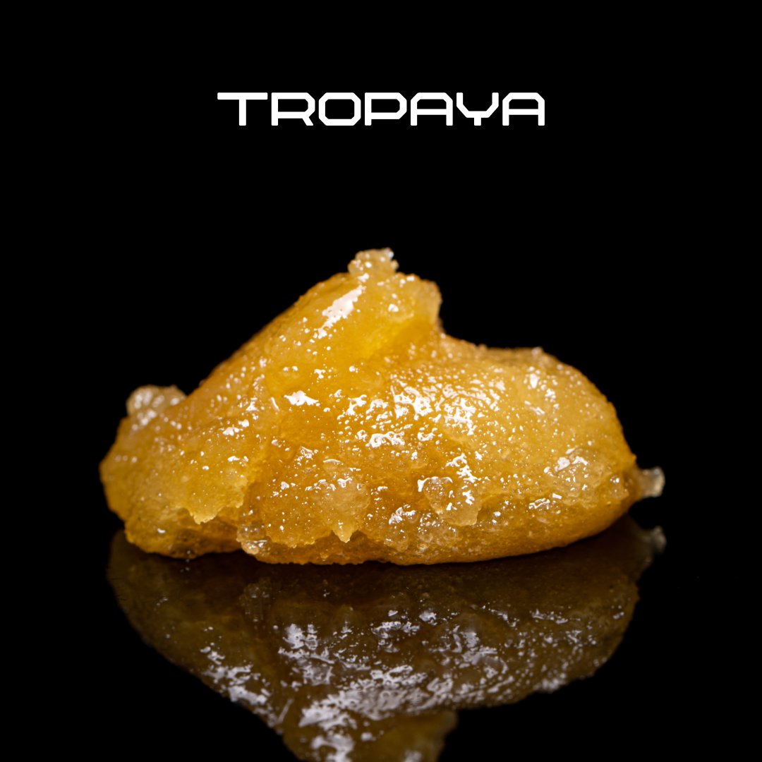 Photograph of product: American Oui'd Live Resin  | Tropaya
