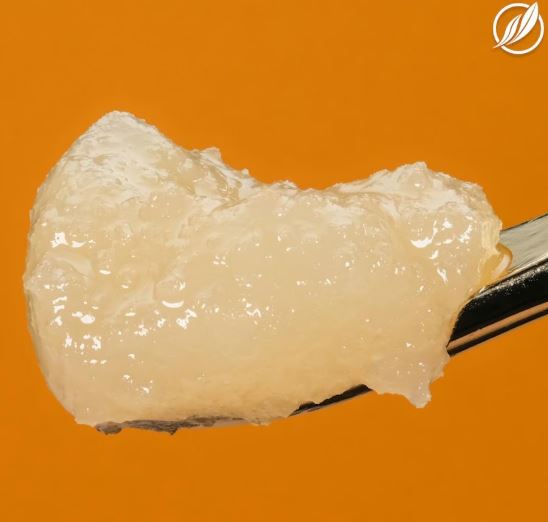 Photograph of product: Hazy Fields 1g BHO Live Resin Sugar - MED T69.99% S 25896 (1g)