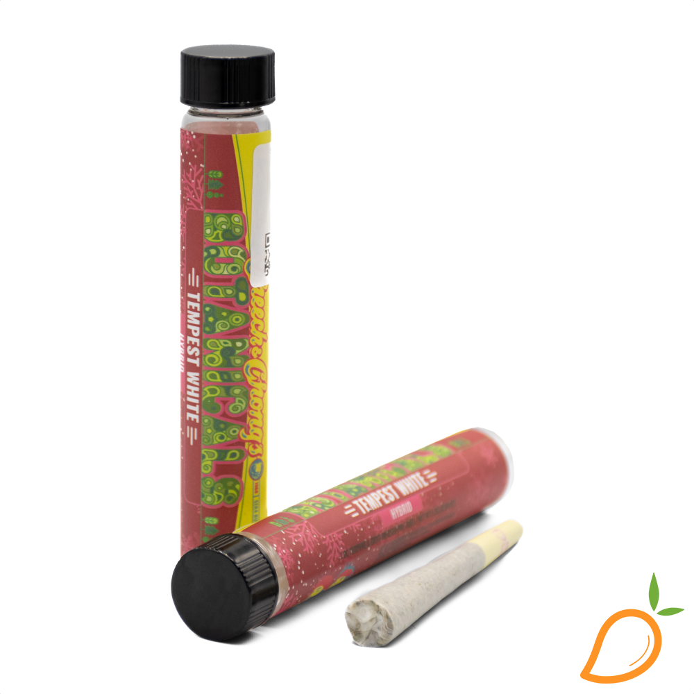 Photograph of product: 1.2g Tempest White Cryo Infused Preroll Cheech & Chong