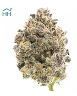 Photograph of product: Runtz - 3.5g - Harbor House