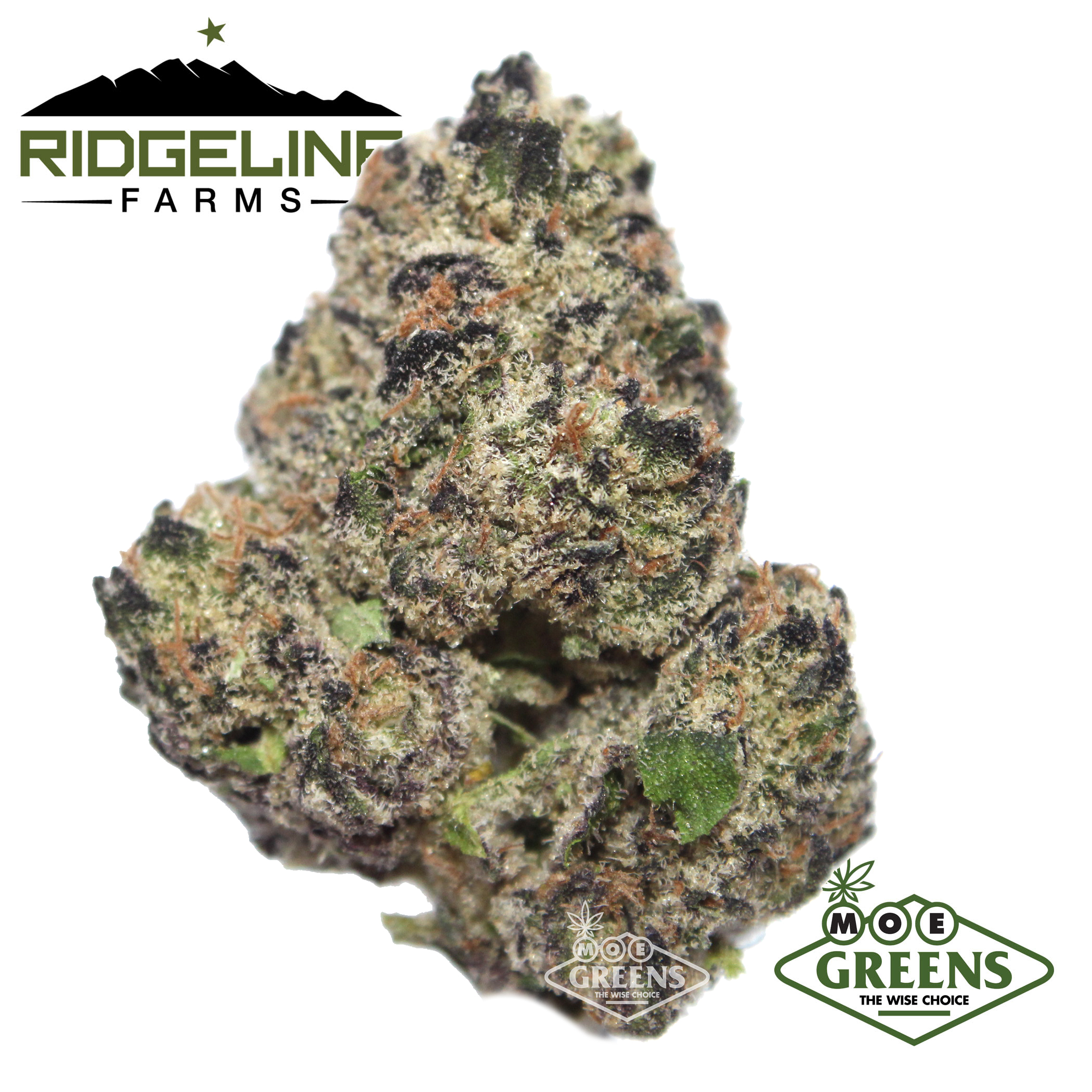 Photograph of product: BLACKBERRY CAVIAR