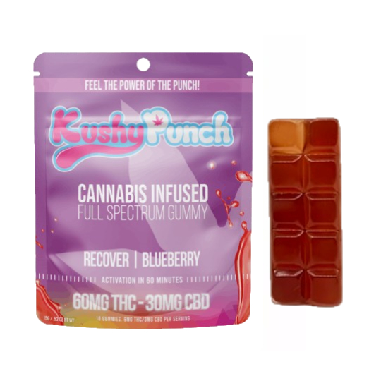 Photograph of product: RECOVER BLUEBERRY - TH-oui:CBD GUMMY