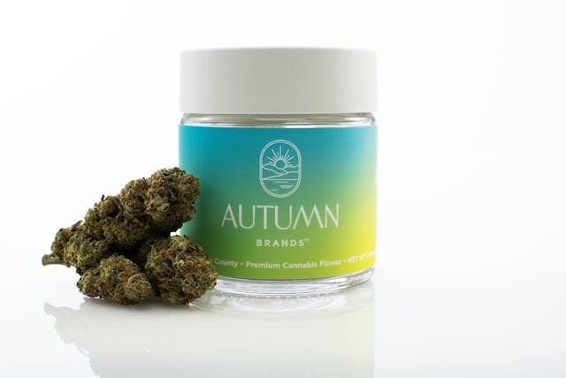Photograph of product: Mango Haze | 14G