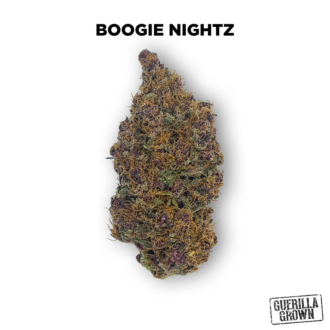Photograph of product: Guerilla Grown | Boogie Nightz | Deli-Style Flower - 28g